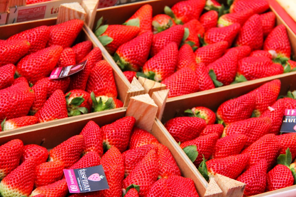 Juicy yummy delicious