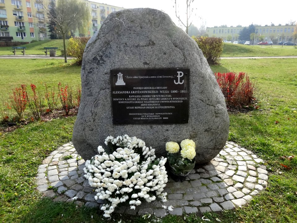 Bdg głaz gen Krzyżanowksiego-Wilka 11-2013