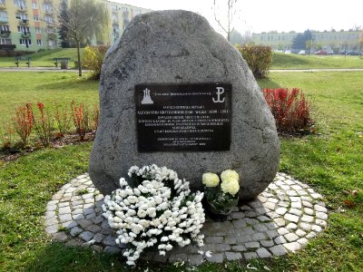 Bdg głaz gen Krzyżanowksiego-Wilka 11-2013