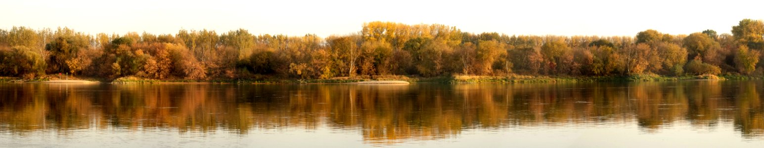 Bdg Fordon Vistula pp10-2018 5a