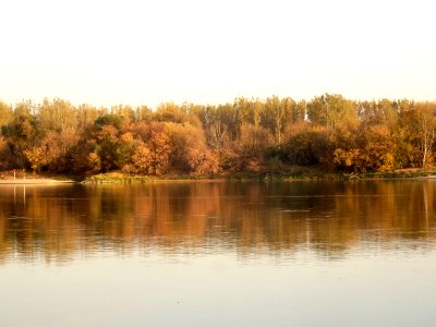 Bdg Fordon Vistula 10-18 d1