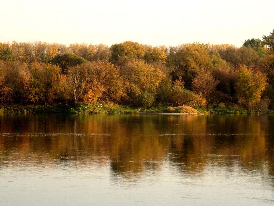 Bdg Fordon Vistula 10-18 19