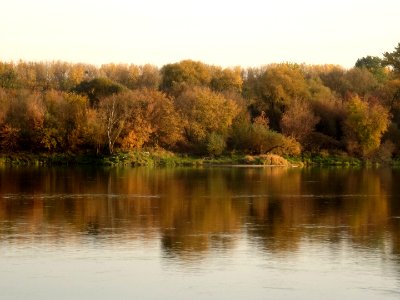 Bdg Fordon Vistula 10-18 19