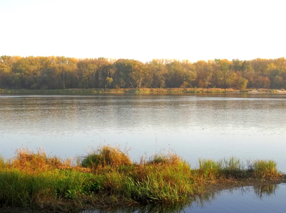 Bdg Fordon Vistula 10-18 4