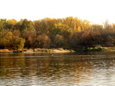 Bdg Fordon Vistula 10-18 b1