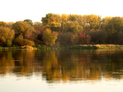 Bdg Fordon Vistula 10-18 e1