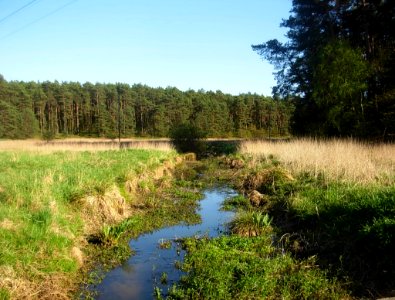 Bdg Dolina Podprądy 05-2013