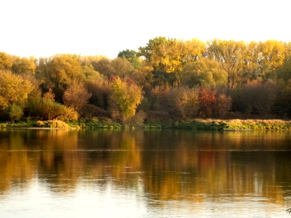 Bdg Fordon Vistula 10-18 18