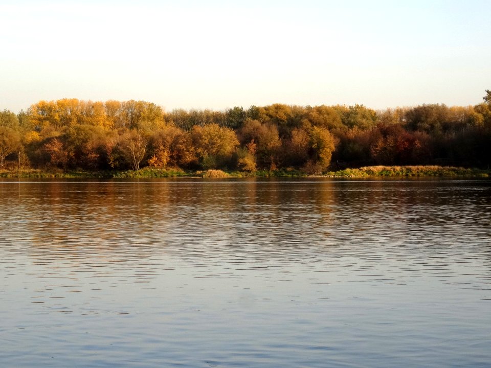 Bdg Fordon Vistula 10-18 a6