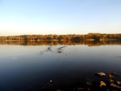 Bdg Fordon Vistula 10-18 20