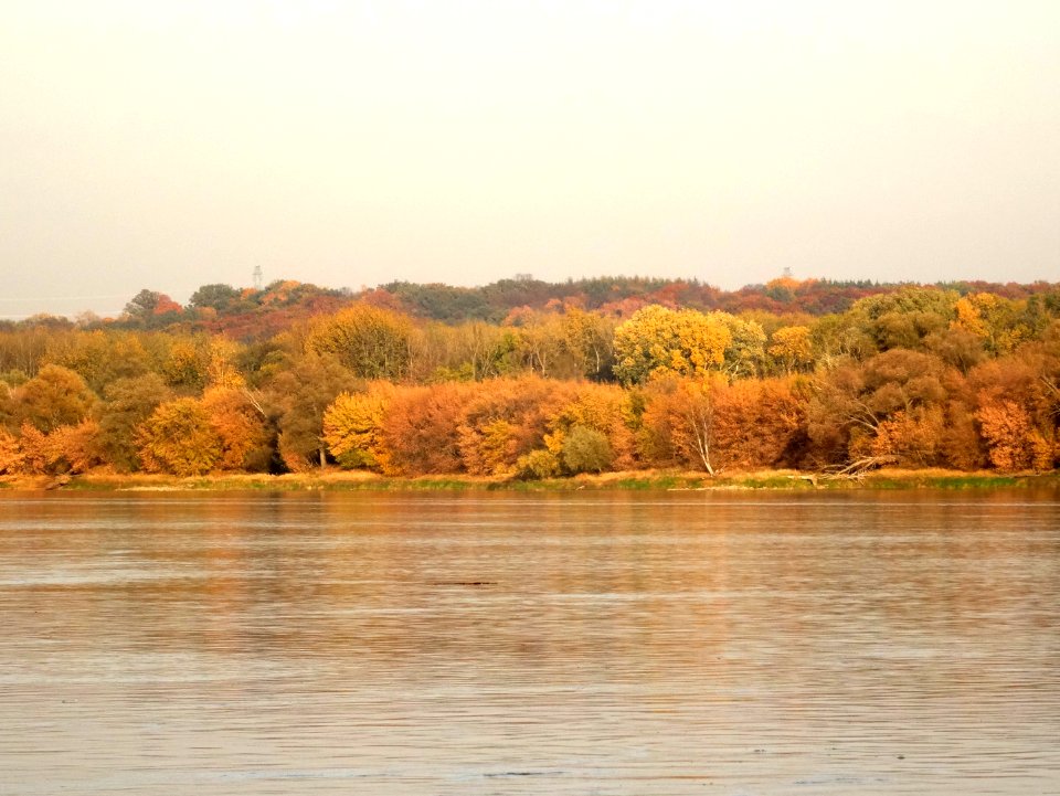 Bdg Fordon Vistula 10-18 12