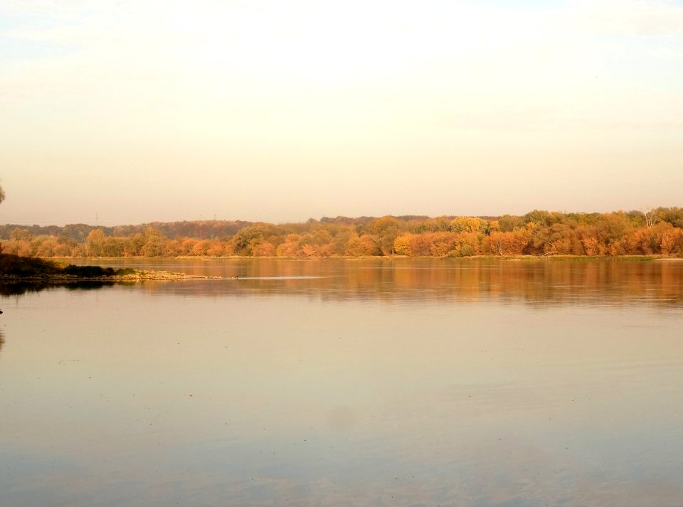 Bdg Fordon Vistula 10-18 22