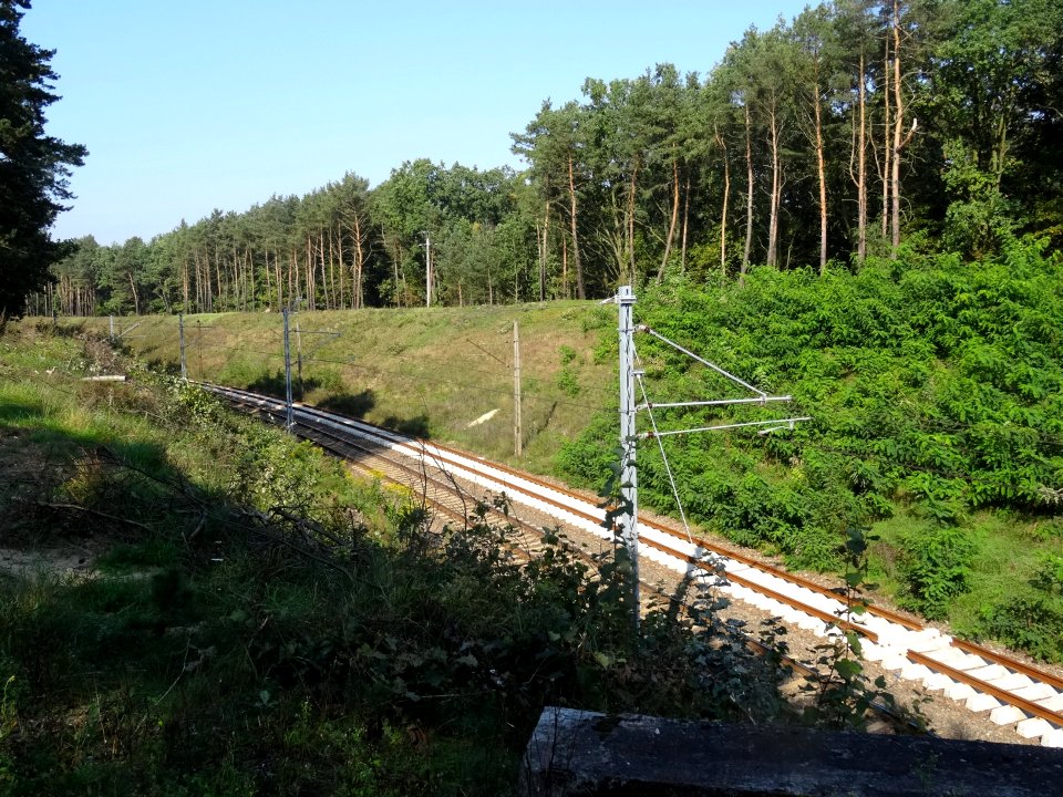 Bdg Fordon rail1 9-2017