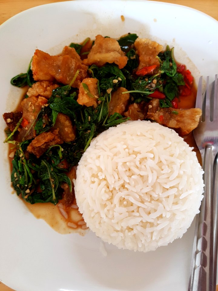 Basil fried crispy pork with rice - Chiang Mai - 2017-07-11 (001)
