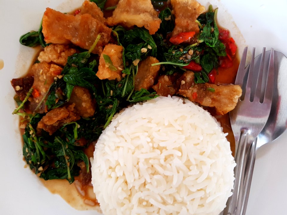 Basil fried crispy pork with rice - Chiang Mai - 2017-07-11 (003)
