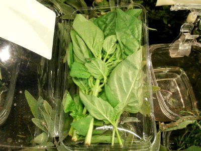 Basil in a plastic box