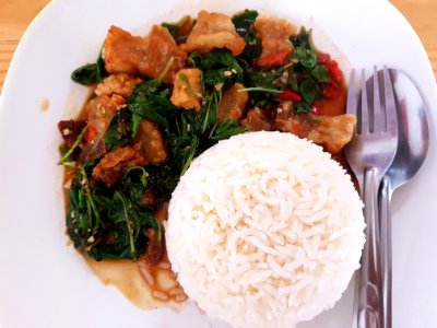 Basil fried crispy pork with rice - Chiang Mai - 2017-07-11 (002)