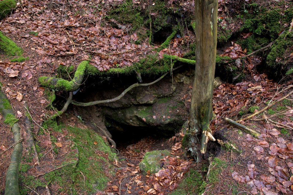 Bauernhöhle bei Lockenricht (A 147) 02