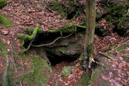 Bauernhöhle bei Lockenricht (A 147) 02