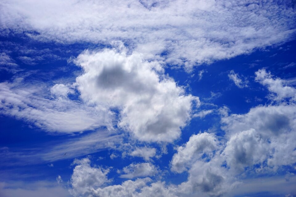 Blue white cloudscape photo