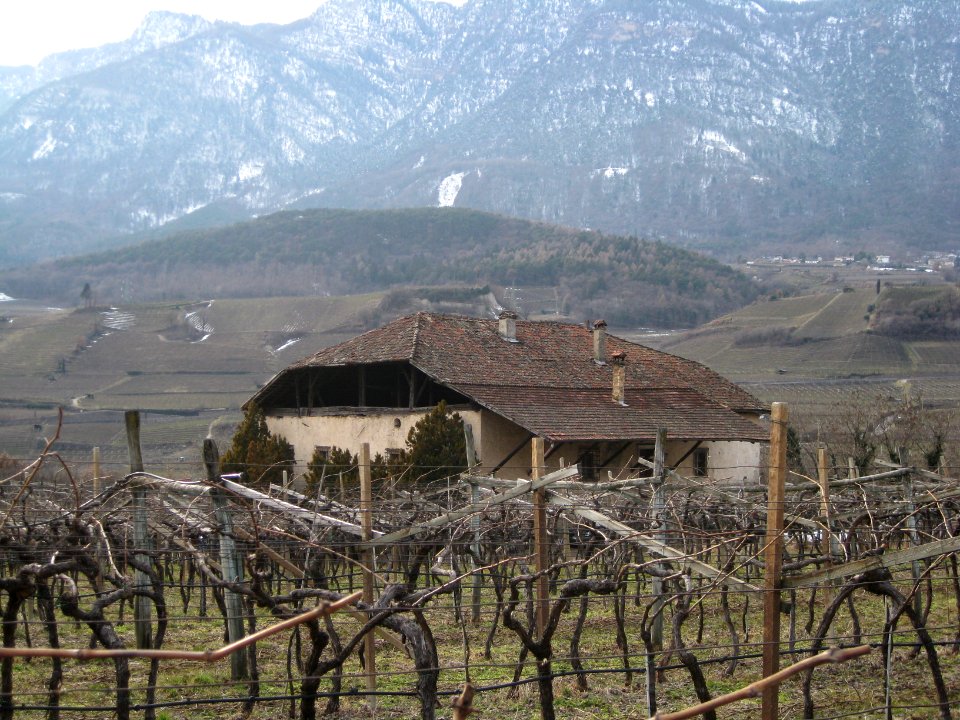 Battistihof bei Kaltern (3)