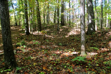Battle of Pickett's Mill trench, October 2016