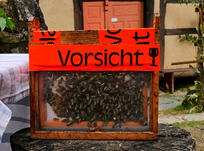 Bauerntag2017BienenH1b