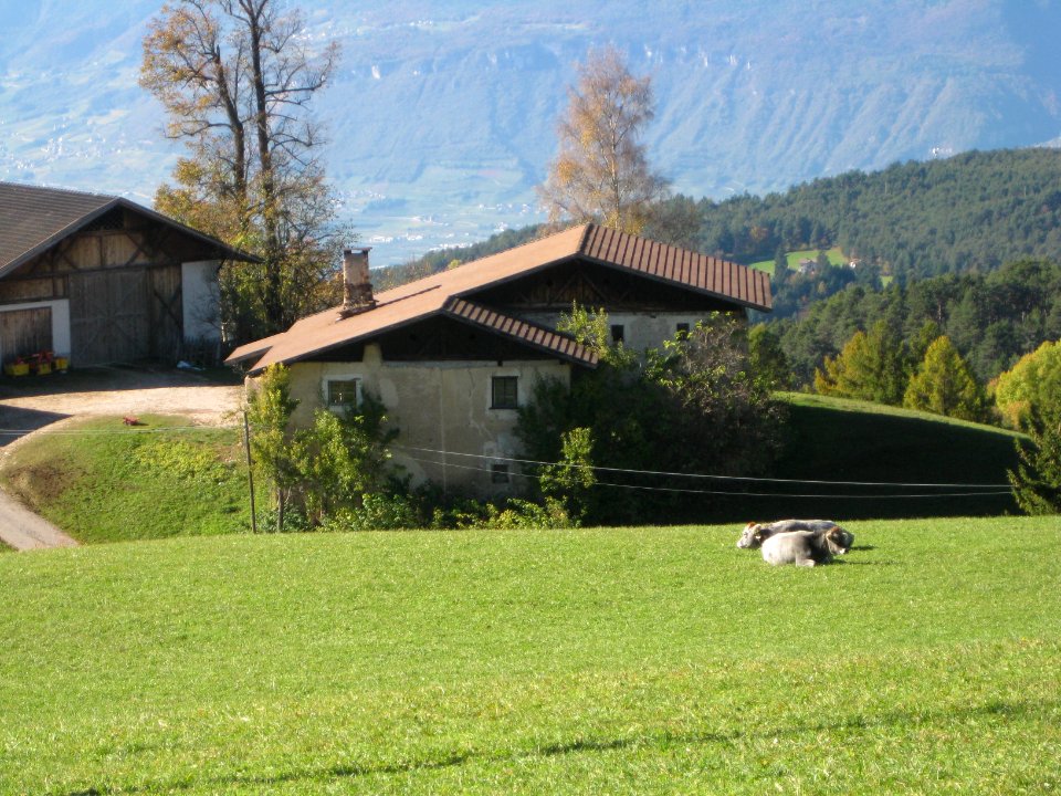 Bauer am Lehen in Aldein 3