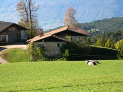 Bauer am Lehen in Aldein 3