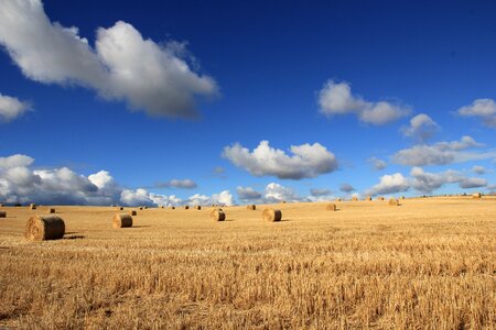 Farm farmland field photo