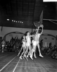 Basketbalwedstrijd Nederland tegen Denemarken te Haarlem, Bestanddeelnr 911-7302