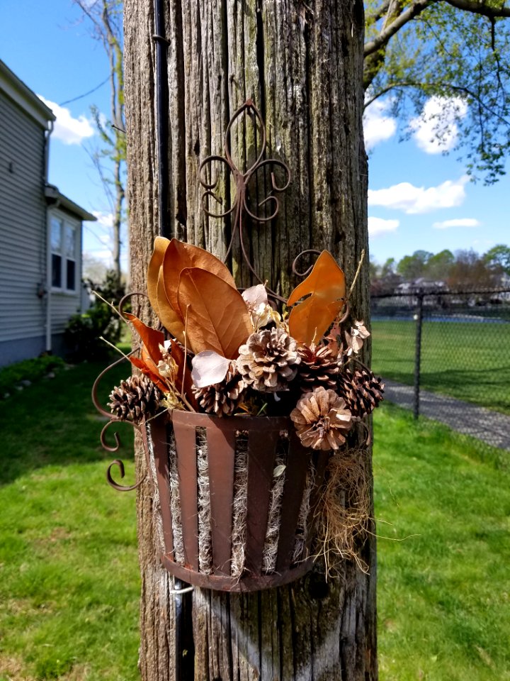 Basket - Utility pole - Arlington, MA - 20200507 103517