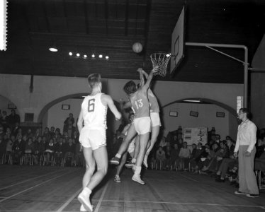 Basketbalwedstrijd Nederland tegen Denemarken te Haarlem, Bestanddeelnr 911-7304