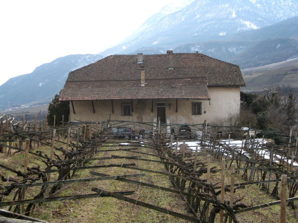 Battistihof bei Kaltern (2)