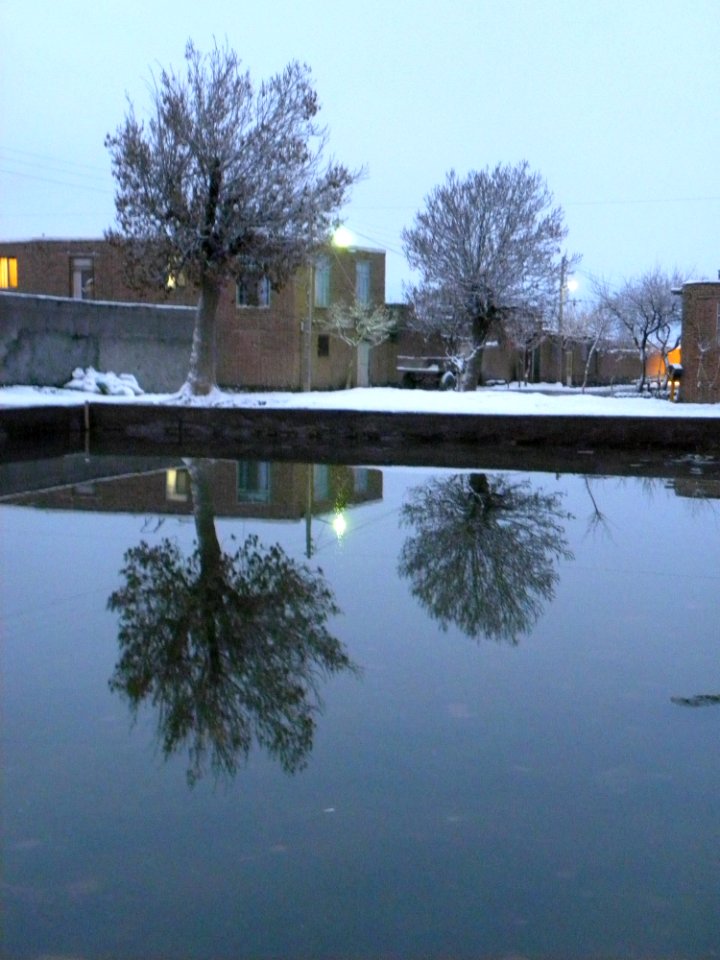 Basin-winter-trees-nishapur