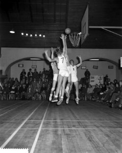Basketbalwedstrijd Nederland tegen Denemarken te Haarlem, Bestanddeelnr 911-7301