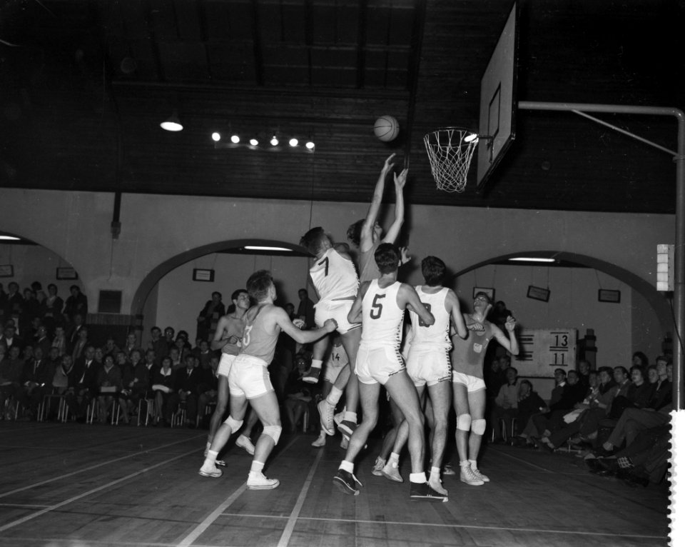 Basketbalwedstrijd Nederland tegen Denemarken te Haarlem, Bestanddeelnr 911-7300