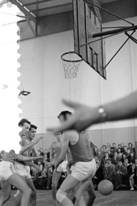 Basketbal Nederland tegen Luxemburg in Apollohal Amsterdam, Bestanddeelnr 910-8506