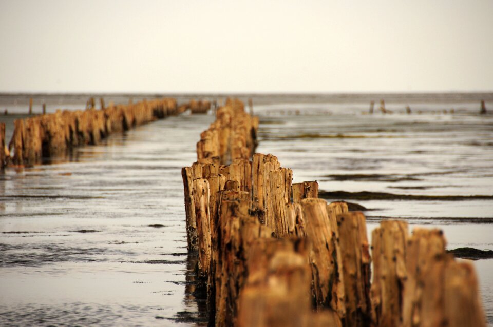 Watts north sea ebb