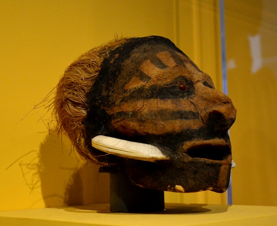 Basel Museum der Kulturen Crâne surmodelé Vanuatu 25102013 2