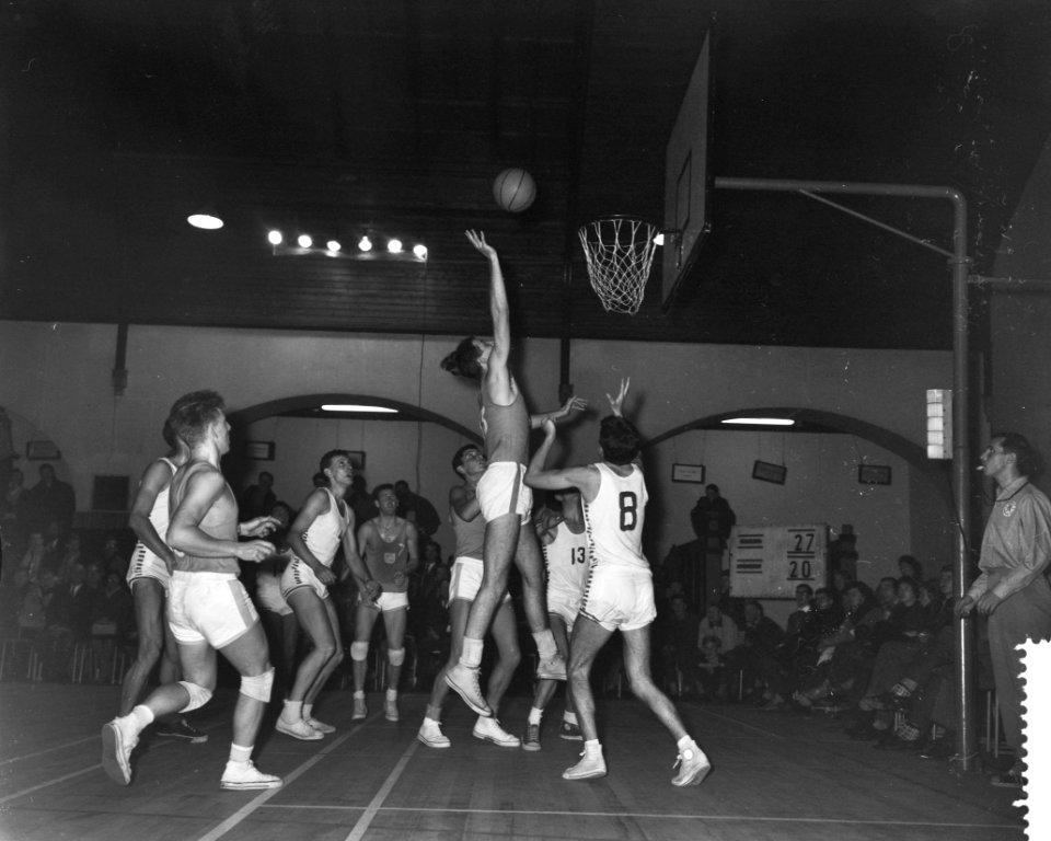 Basketbalwedstrijd Nederland tegen Denemarken te Haarlem, Bestanddeelnr 911-7303
