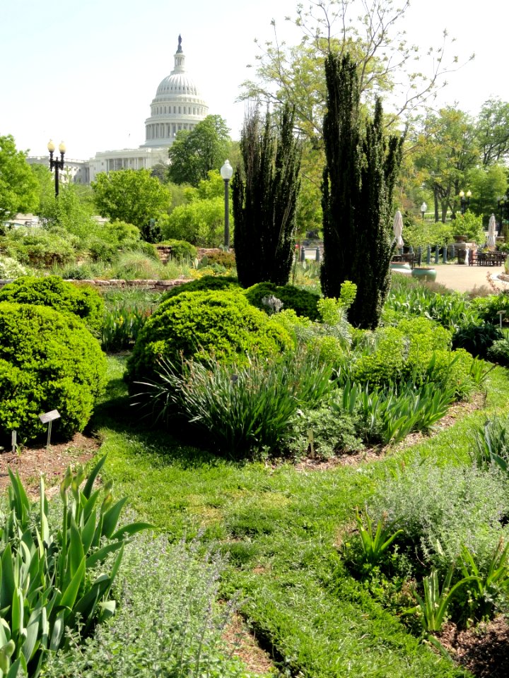 Bartholdi Park - Washington, DC - DSC09450