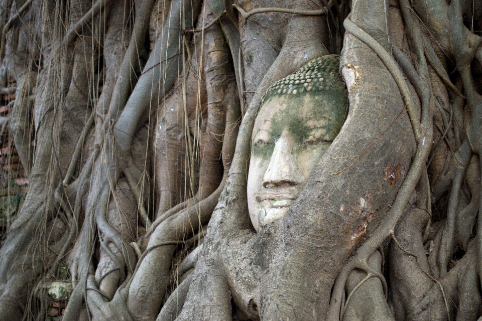 Ayutthaya tourism the symbol