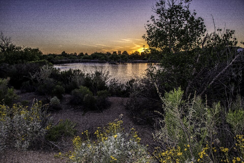 Desert nature southwest