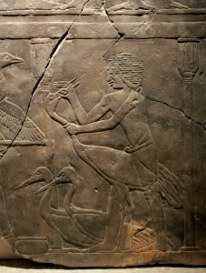 Bas-relief Grues 5ème dynastie Neues Museum 26042018 photo