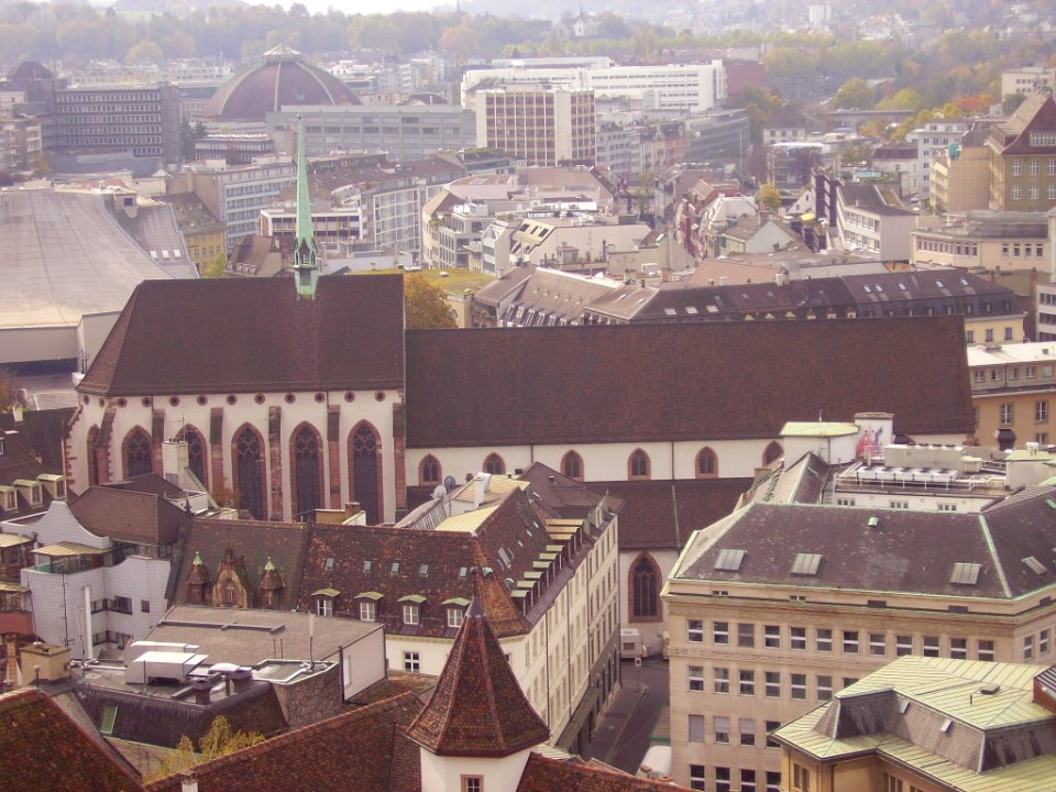 Basel Blick vom Münster 9
