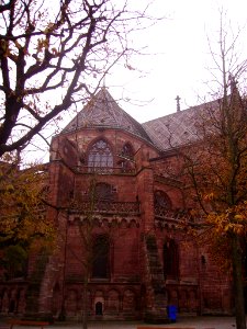 Basel Münster Chor 1