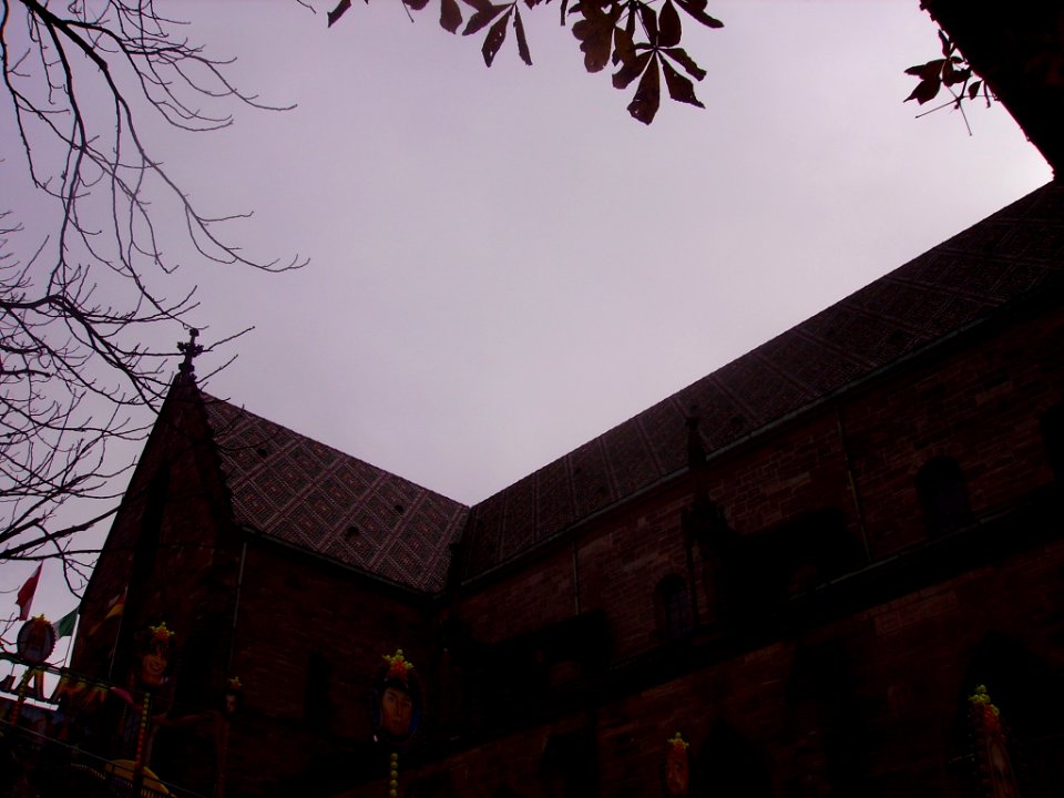 Basel Münster Dach 02