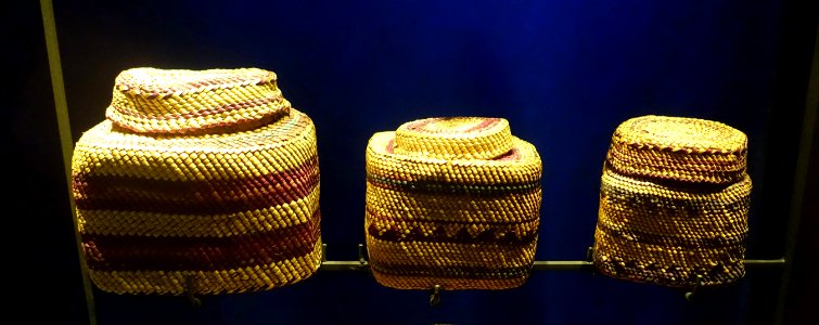 Basket, probably northwest North America - Etnografiska museet - Stockholm, Sweden - DSC01099