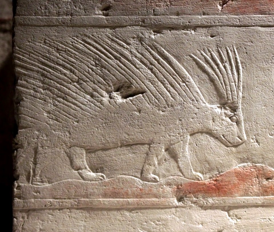 Bas-relief Porc-épic 5ème dynastie Neues Museum 26042018